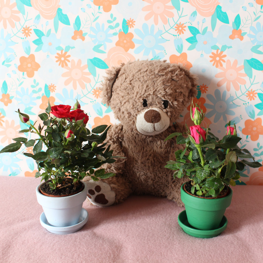  Happy Women''s day!!